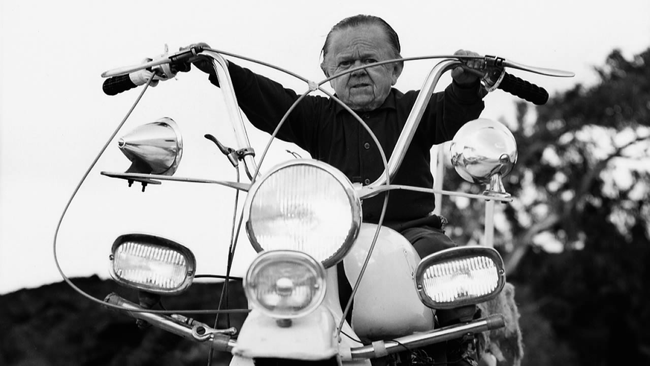 Film in zicht Auch Zwerge haben klein angefangen Sphinx Cinema