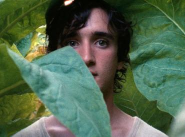 Lazzaro felice