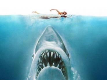 jaws the original soundtrack robin broos